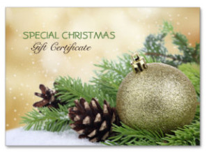 christmas_all_purpose_gift_certificate_voucher_business_card-p240340247077638501en8cn_320